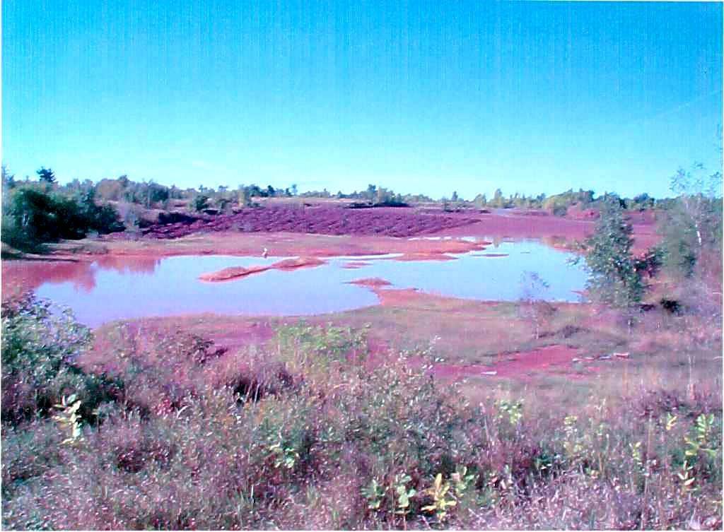 The Russell shale quarry, with water in the excavation and rows of shale along the far slope.